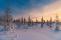 Winter landscape with sun in the frame trees covered with snow Royalty Free Stock Photo