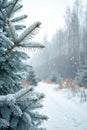 Snowfall in winter forest Christmas magic Royalty Free Stock Photo