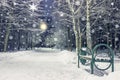 Snowfall in winter night park. New year and Christmas theme. Landscape of winter in city.