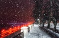 Snowfall in a winter park at night with glowing lanterns, view to road with car motion, pavement and trees in foggy weather Royalty Free Stock Photo