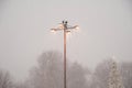 Snowfall in the winter. Snow blizzard in the city. Lantern, tree in the city, clearing the snow in the city Royalty Free Stock Photo