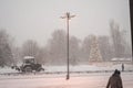 Snowfall in the winter. Snow blizzard in the city. Lantern, tree in the city, clearing the snow in the city Royalty Free Stock Photo