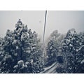 SNOWFALLING Natural beauty Royalty Free Stock Photo