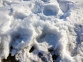 Snowfield and Footprint