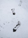 Snowfield and Footprint