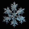 Snowflake on black background Royalty Free Stock Photo