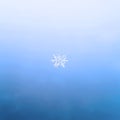 Snowflake close up blue winter macro