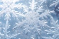 Snowflake close-up. Macro photo. A place to copy