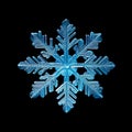 snowflake close-up offers an intimate view of nature\'s exquisite artistry. The delicate ice crystal