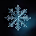 snowflake close-up offers an intimate view of nature\'s exquisite artistry. The delicate ice crystal