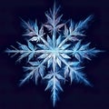 snowflake close-up offers an intimate view of nature\'s exquisite artistry. The delicate ice crystal