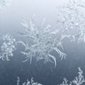 Snowflake close up on window glass in winter