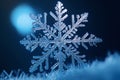 Snowflake closeup isolated on winter snow background. Copy space. Frozen water in snowflake shape. Winter Christmas holidays. Cold Royalty Free Stock Photo