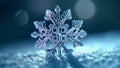 Snowflake closeup isolated on winter snow bokeh background. Copy space. Ice crystal. Frozen water in snowflake shape. Winter Royalty Free Stock Photo