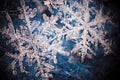 Snowflake crystal Royalty Free Stock Photo