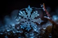 Snowflake with a drop of water on it. Royalty Free Stock Photo