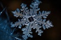 Snowflake with a drop of water on it. Royalty Free Stock Photo