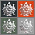 Snowflake four panel collage with silver frame