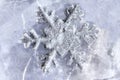 Snowflake frozen in ice winter season