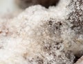 Snowflake on a frozen mushroom. macro