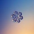 Real snowflake glittering on smooth gradient background Royalty Free Stock Photo