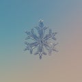 Real snowflake glittering on smooth gradient background Royalty Free Stock Photo