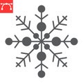 Snowflake glyph icon