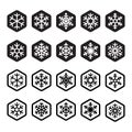 Snowflake icon Christmas hexagon honeycomb vector logo snow Santa Claus Xmas cartoon character illustration symbol graphic design