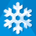 Snowflake icon (vector)