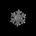 Snowflake isolated on black background