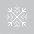 Snowflake illustration - vector