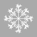 Snowflake isolated icon and sign design on red background