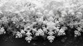 Snowflake Layers: Christmas Background with Varying Shapes, Sizes, and Transparency Gradient from Gray to White