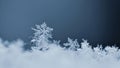 Snowflake. Macro photo of real snow crystal. Beautiful winter background seasonal nature and the weather in winter.