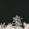 Snowflake. Macro photo of real snow crystal. Beautiful winter background seasonal nature and the weather in winter. Royalty Free Stock Photo