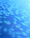 Snowflake. Macro photo of real snow crystal Royalty Free Stock Photo