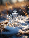 Snowflake Melting on Grass: A Winter\'s Ephemeral Beauty