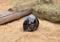 Snowflake obsidian on beach Royalty Free Stock Photo