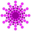 Snowflake from pink and burgundy rays on a white background Royalty Free Stock Photo