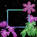 Snowflake-shaped with colorful monstera leaves pattern on black background for christmas and new year concept Royalty Free Stock Photo