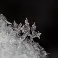 snowflake with snow crystals sitting on top of a pile Royalty Free Stock Photo