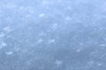 White snowflakes shot close up winter and cold Royalty Free Stock Photo