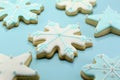 Snowflake and Star Shaped Cookies Royalty Free Stock Photo