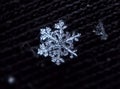 Snowflake white and shiny macro