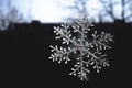Snowflake Royalty Free Stock Photo