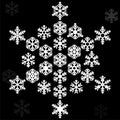 Snowflake winter set vector . Graphic crystal frozen decoration for design. Isolated. Royalty Free Stock Photo