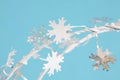 Snowflakes Royalty Free Stock Photo