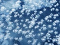 Snowflakes as a snow butterflies over frozen icy river. Frosty nature background