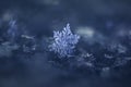 Snowflakes close-up. Macro photo. Royalty Free Stock Photo