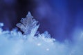 Snowflakes close-up. Macro photo. The concept of winter, cold, beauty of nature Royalty Free Stock Photo